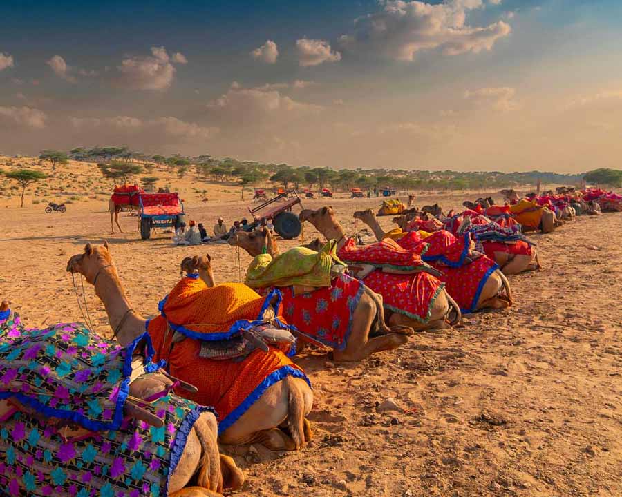 17 Days Special Rajasthan Tour